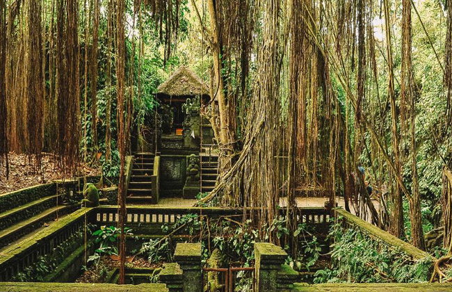 Ubud Nature and Culture: Monkey Forest, Tegalalang Rice Terraces and more – Full-Day Tour - Photo 2